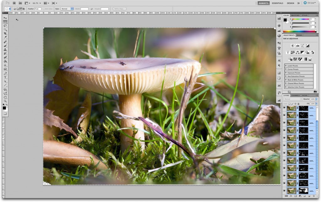 Layers Aligned and Blended, each Layer with a Layer Mask Layers Aligned and Blended, each Layer with a Layer Mask