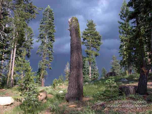 Original Image - Sierra Monolith Original Image - Sierra Monolith