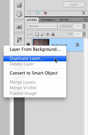 Selecting the "Duplicate Layer" option Selecting the "Duplicate Layer" option