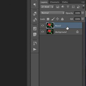 New layer successfully added to the document. New layer successfully added to the document.