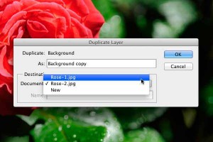 Selecting the duplicate layer destination file. Selecting the duplicate layer destination file.