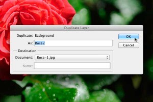Set the destination layer name. Set the destination layer name.