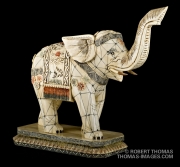 Ivory elephane