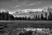Upper meadow on the edge of Desolation Wilderness